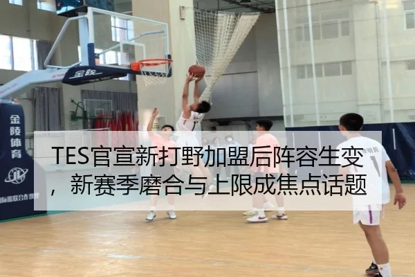 TES官宣新打野加盟后阵容生变，新赛季磨合与上限成焦点话题 | kaiyun